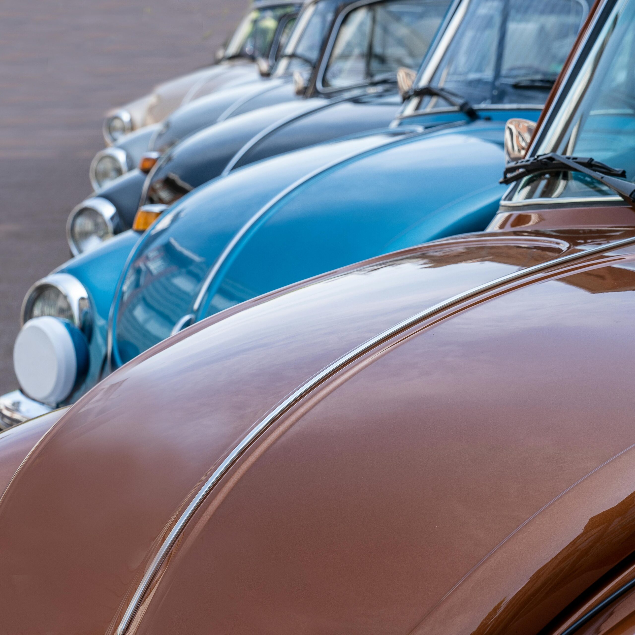 Front view of vintage Volkswagen Beetles aligned perfectly outdoors.
